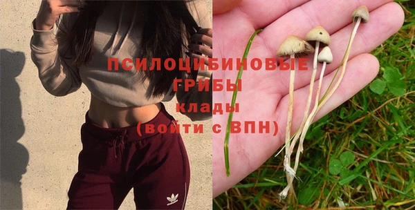 не бодяженный Белокуриха
