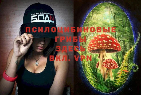 не бодяженный Белокуриха