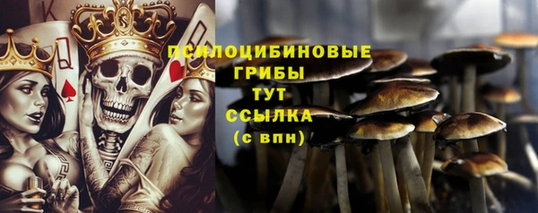 гашик Белоозёрский